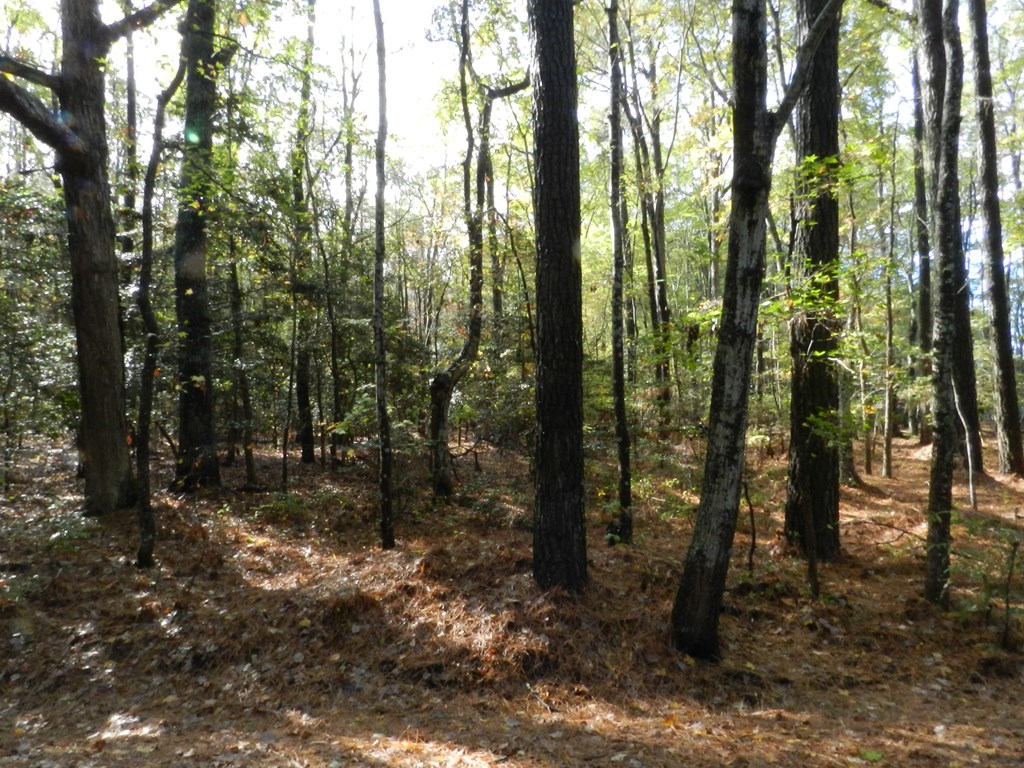 Lot E2 Battle Point Road, Unit E2 Exmore, VA 23350 - Photo 6 of 22