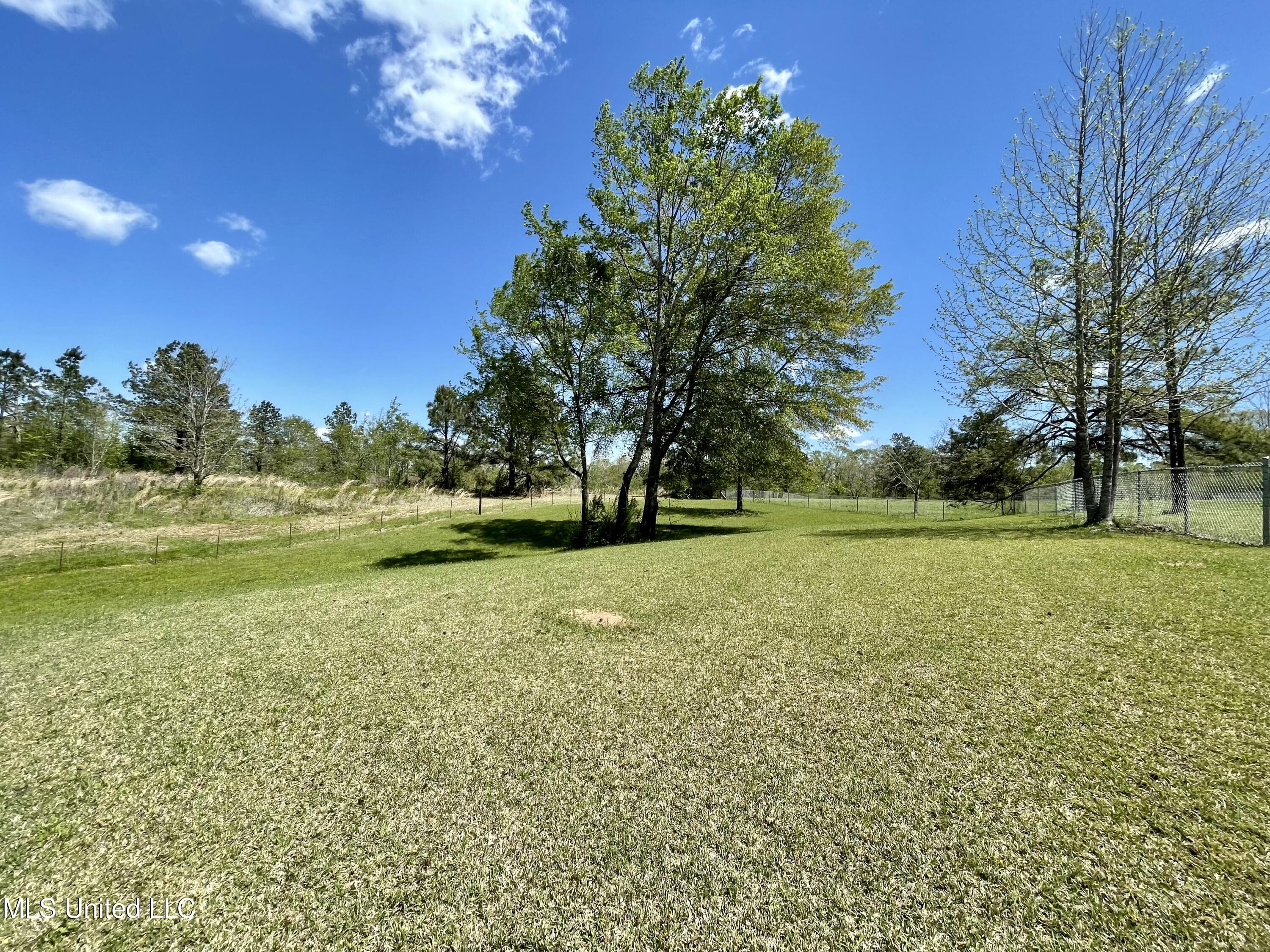 2042 Mathis Road Crystal Springs, MS 39059 - Photo 46 of 47 FC526B5D-D5C3-49CB-B0F4-9A946D37ABBA