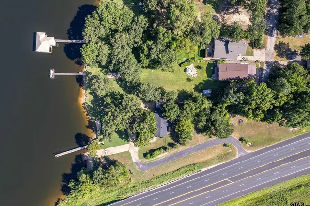 a view of a yard with plants