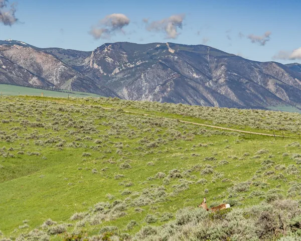 $475,000 | Grandview Drive, Sheridan, WY 82801