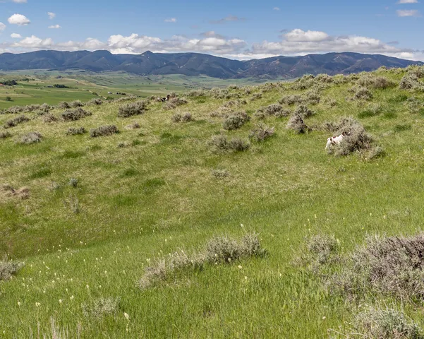 $475,000 | Grandview Drive, Sheridan, WY 82801