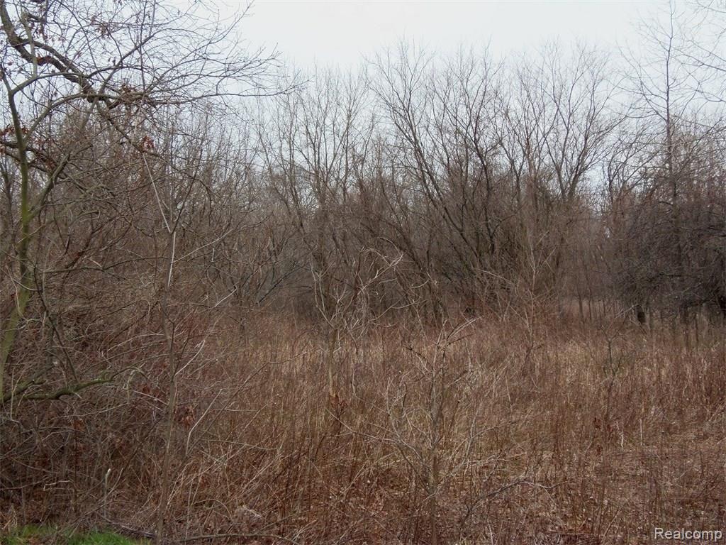 41005 Judd Road Belleville, MI 48111 - Photo 8 of 18