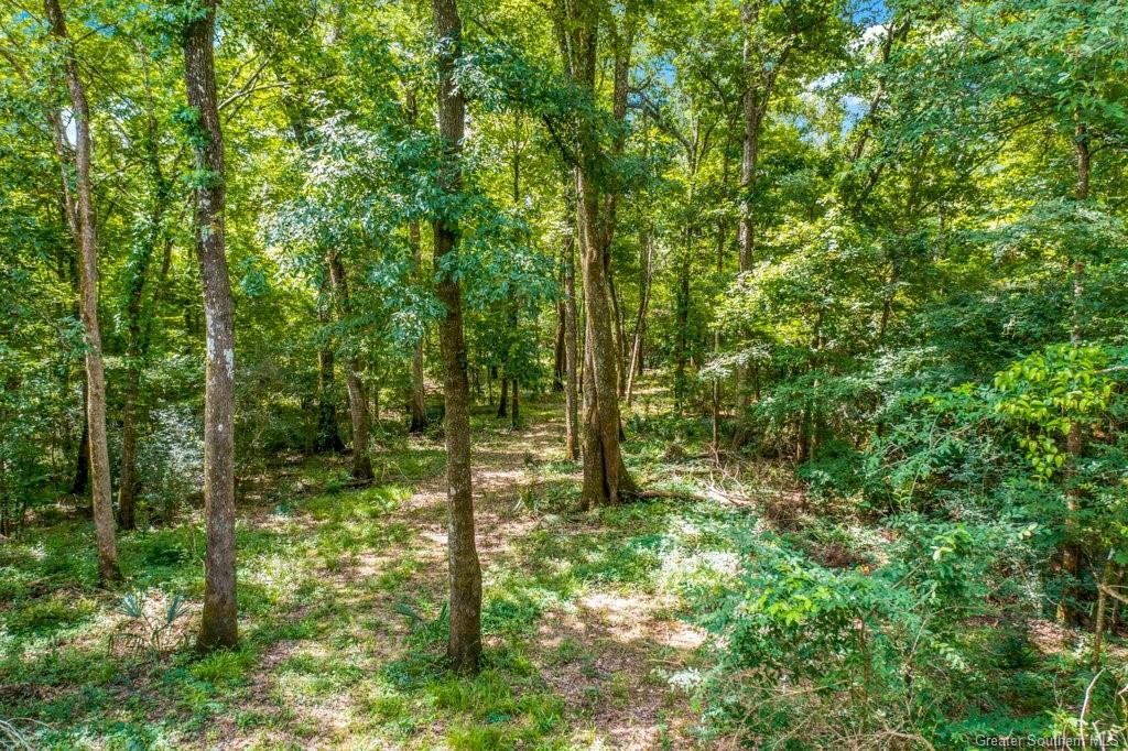 0 Duhon Road Jennings, LA 70546 - Photo 11 of 11 Gallery Image 11