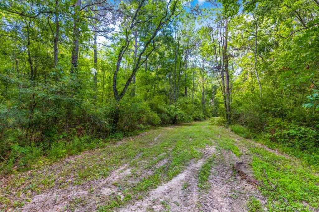 0 Duhon Road Jennings, LA 70546 - Photo 2 of 11 Gallery Image 2