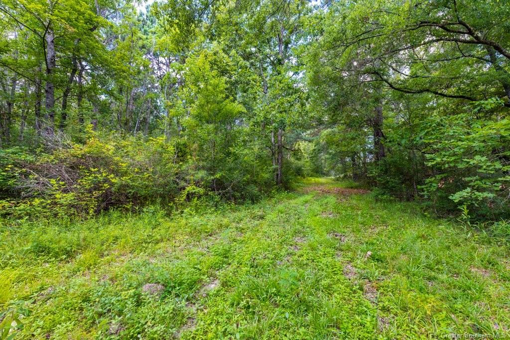0 Duhon Road Jennings, LA 70546 - Photo 3 of 11 Gallery Image 3