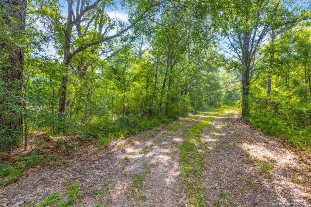 0 Duhon Road Jennings, LA 70546 - Photo 4 of 11 Gallery Image 4
