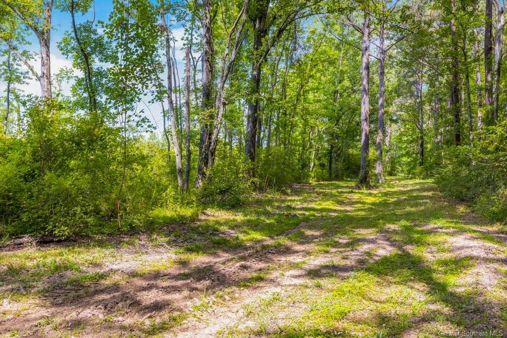 0 Duhon Road Jennings, LA 70546 - Photo 5 of 11 Gallery Image 5