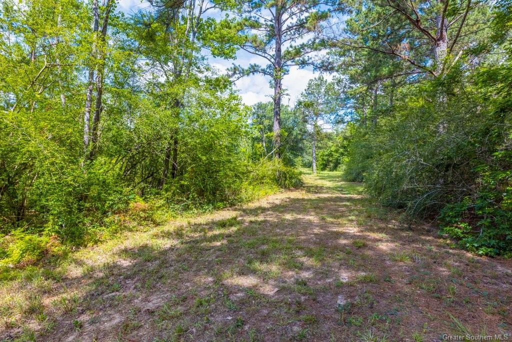 0 Duhon Road Jennings, LA 70546 - Photo 6 of 11 Gallery Image 6