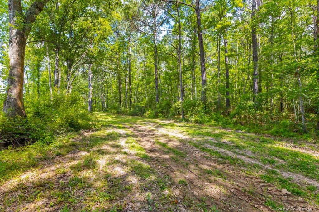 0 Duhon Road Jennings, LA 70546 - Photo 7 of 11 Gallery Image 7