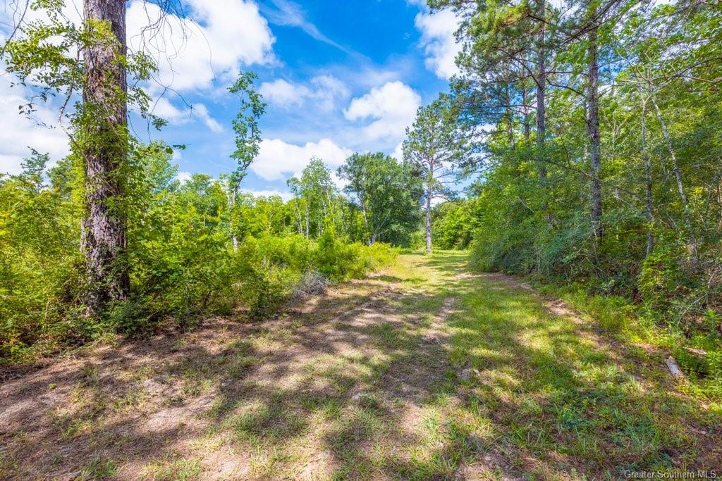 0 Duhon Road Jennings, LA 70546 - Photo 8 of 11 Gallery Image 8