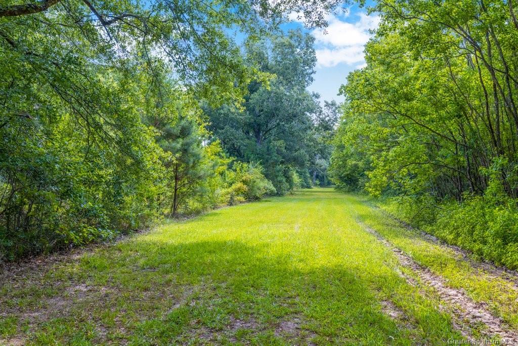 0 Duhon Road Jennings, LA 70546 - Photo 9 of 11 Gallery Image 9