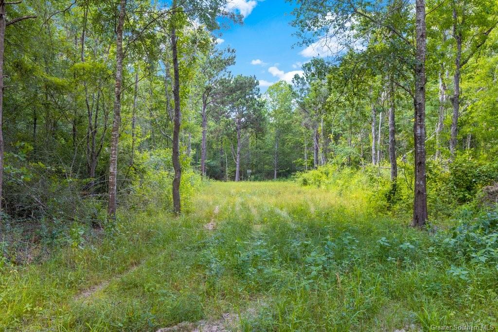 0 Duhon Road Jennings, LA 70546 - Photo 10 of 11 Gallery Image 10