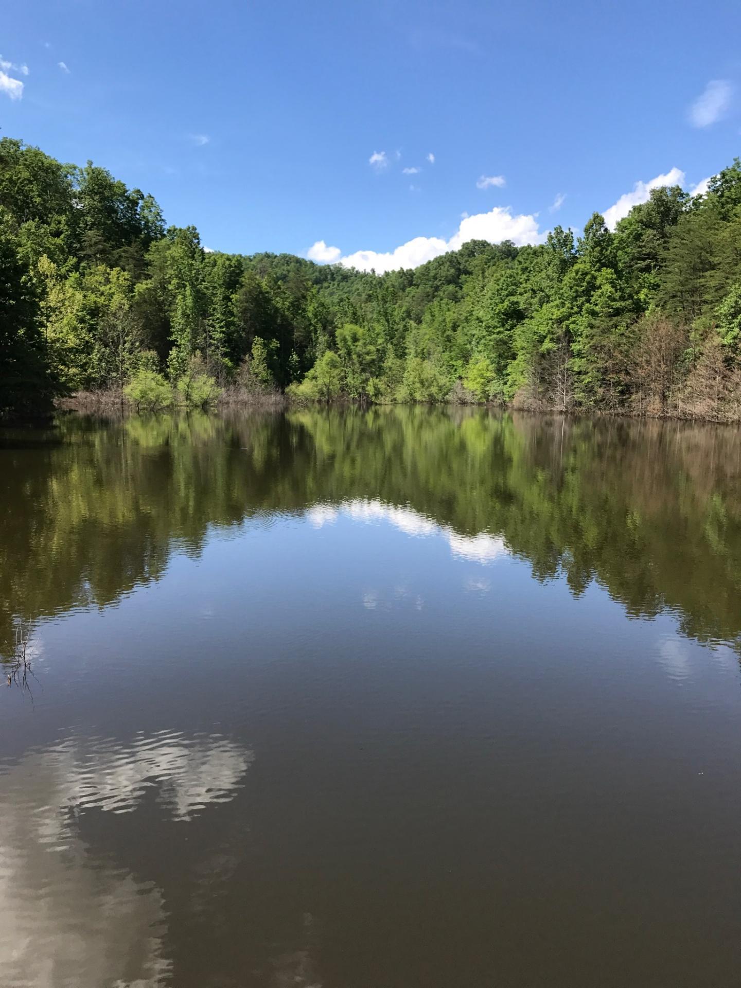 2240 Teges Creek Road Manchester, KY 40962 - Photo 24 of 59 46093