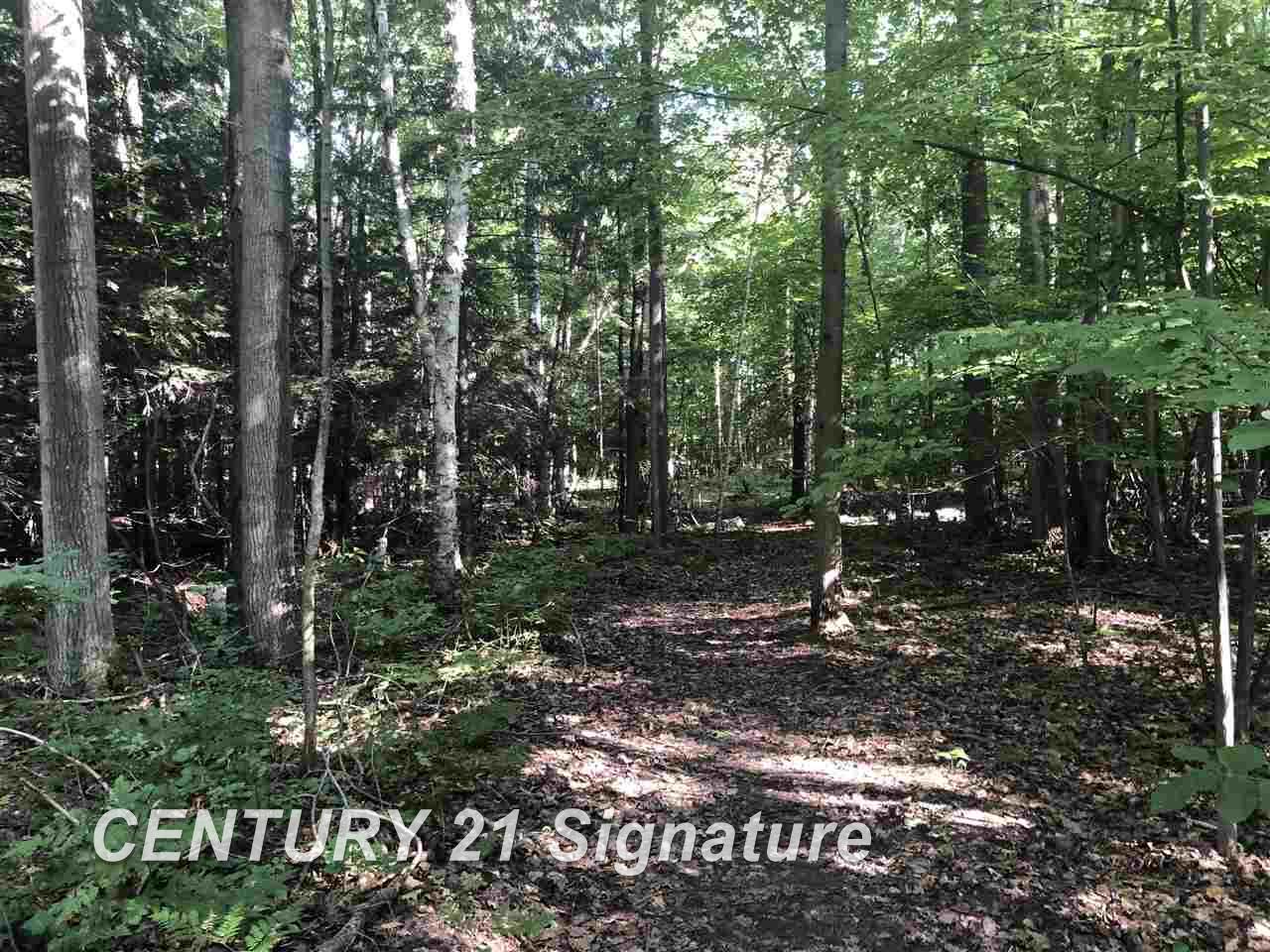 Vl West Linwood Road Linwood, MI 48634 - Photo 6 of 14 Gallery Image 6