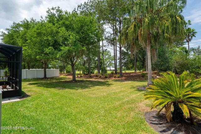 a view of a park with large trees