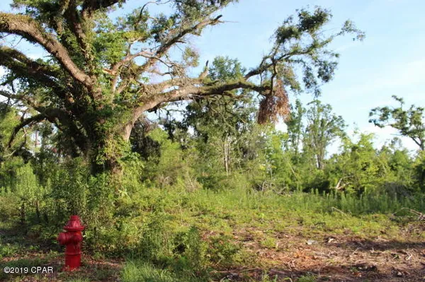 $130,000 | 0 Lafayette Street, Marianna, FL 32446