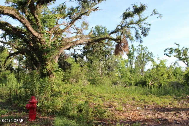 $130,000 | 0 Lafayette Street, Marianna, FL 32446