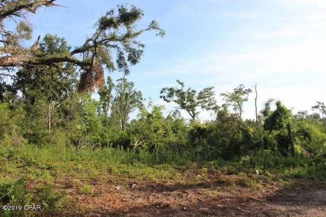 $130,000 | 0 Lafayette Street, Marianna, FL 32446