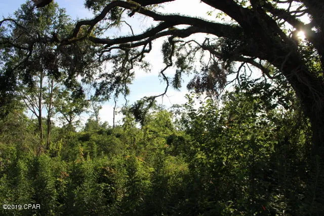 $130,000 | 0 Lafayette Street, Marianna, FL 32446