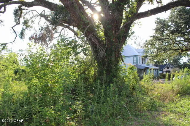 $130,000 | 0 Lafayette Street, Marianna, FL 32446