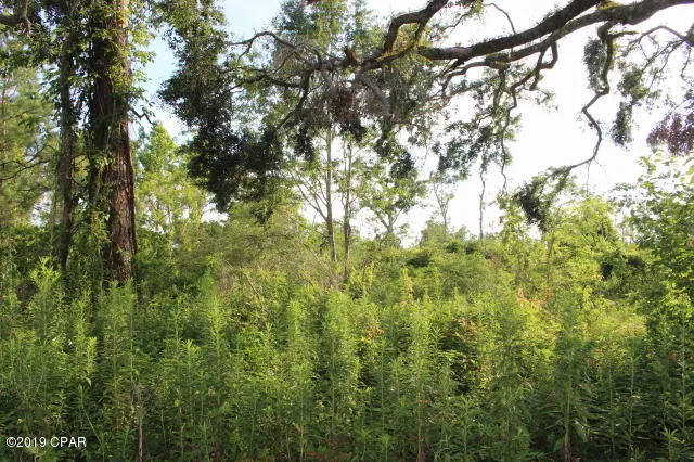 $130,000 | 0 Lafayette Street, Marianna, FL 32446