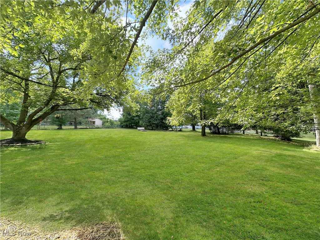 596 Hadcock Road Brunswick, OH 44212 - Photo 16 of 17 View of grassy yard woth fire pit featuring view of wooded area