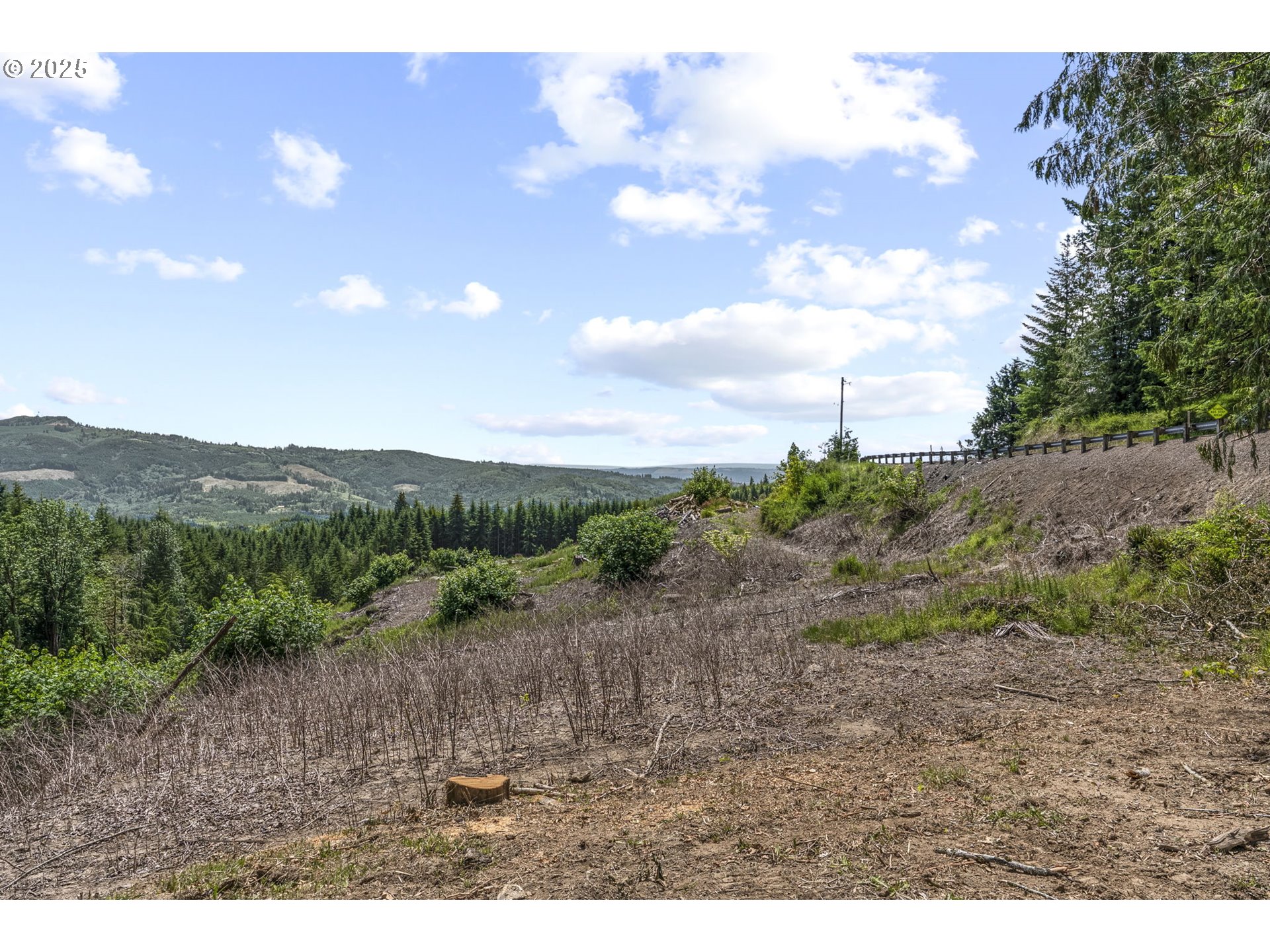 1899 Mt Pleasant Road Kelso, WA 98626 - Photo 18 of 18 Gallery Image 18