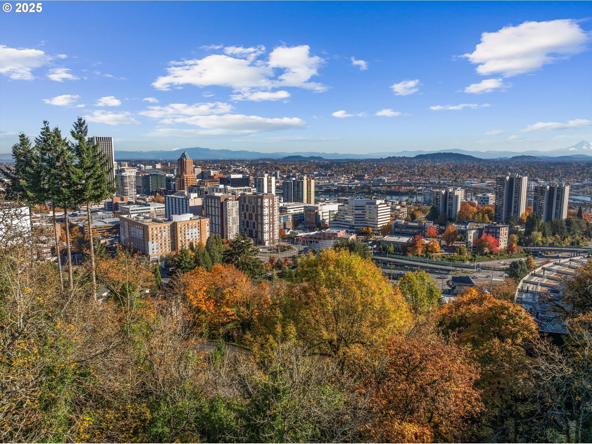 Southwest Cardinell Way Portland, OR 97201 - Photo 7 of 10