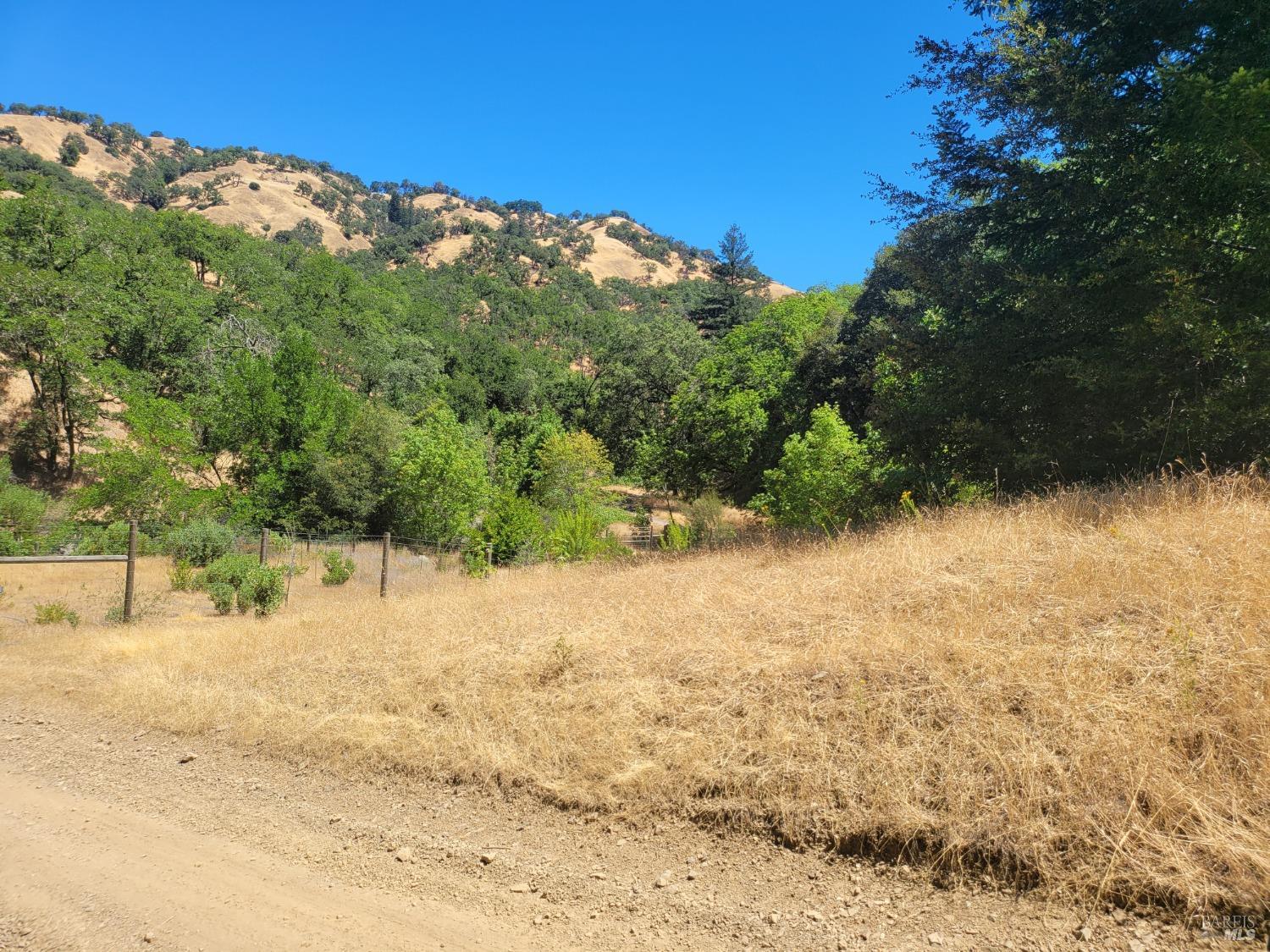 a view of a yard with a tree