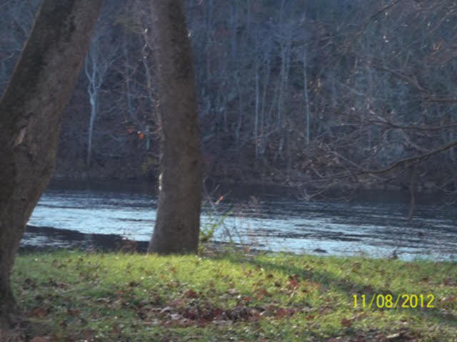 525 River Valley Road Rileyville, VA 22650 - Photo 5 of 14 a view of a pathway in a yard