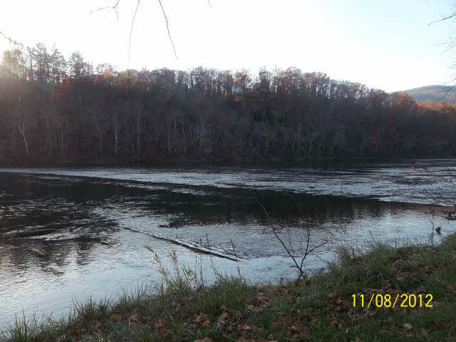 525 River Valley Road Rileyville, VA 22650 - Photo 6 of 14 a view of a lake in middle of forest