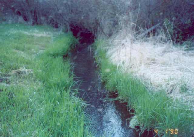8921 Cheney Spokane Road Spokane, WA 99224 - Photo 2 of 4