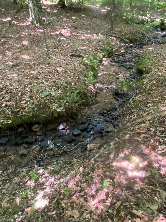 0 Maple Hollow Road Mount Airy, NC 27030 - Photo 3 of 5 Gallery Image 3