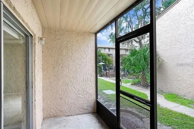 a view of backyard from window