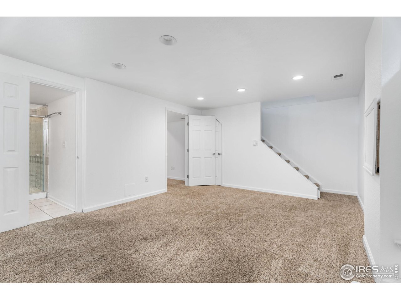 3036 Rustic Court Fort Collins, CO 80526 - Photo 22 of 29 Fully Finished Basement
