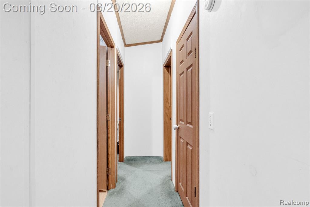 7151 Martin Road Imlay City, MI 48444 - Photo 17 of 49
