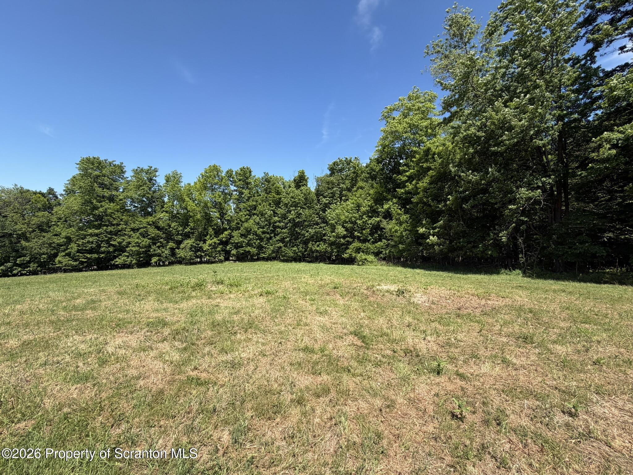 Lot #2 State Rte 2014 Union Dale, PA 18470 - Photo 7 of 8 a view of a yard with a tree
