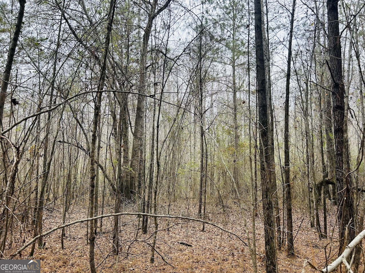 0 Hopeful Road, Unit LOT 3 Munford, AL 36268 - Photo 4 of 21