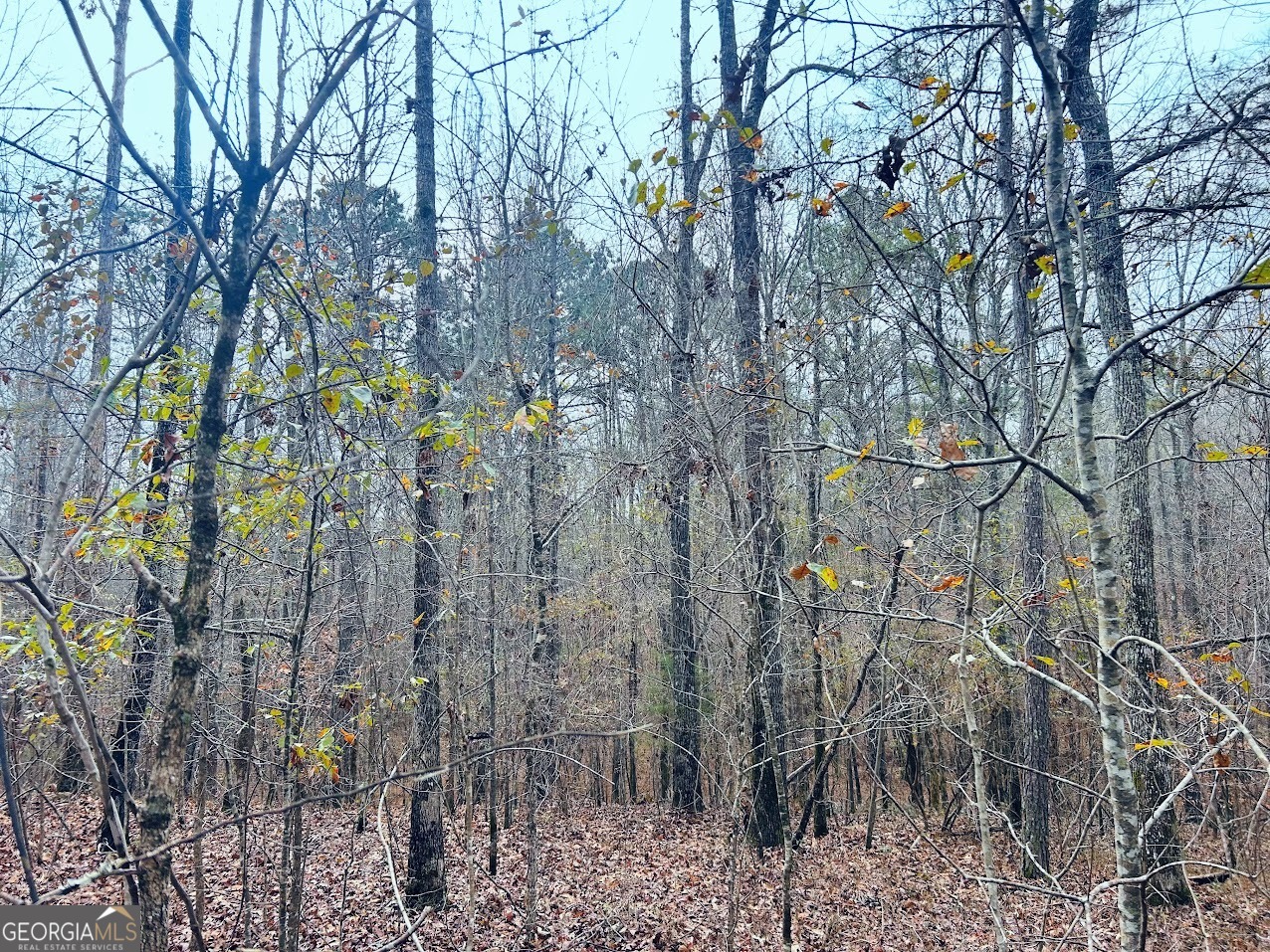 0 Hopeful Road, Unit LOT 3 Munford, AL 36268 - Photo 6 of 21