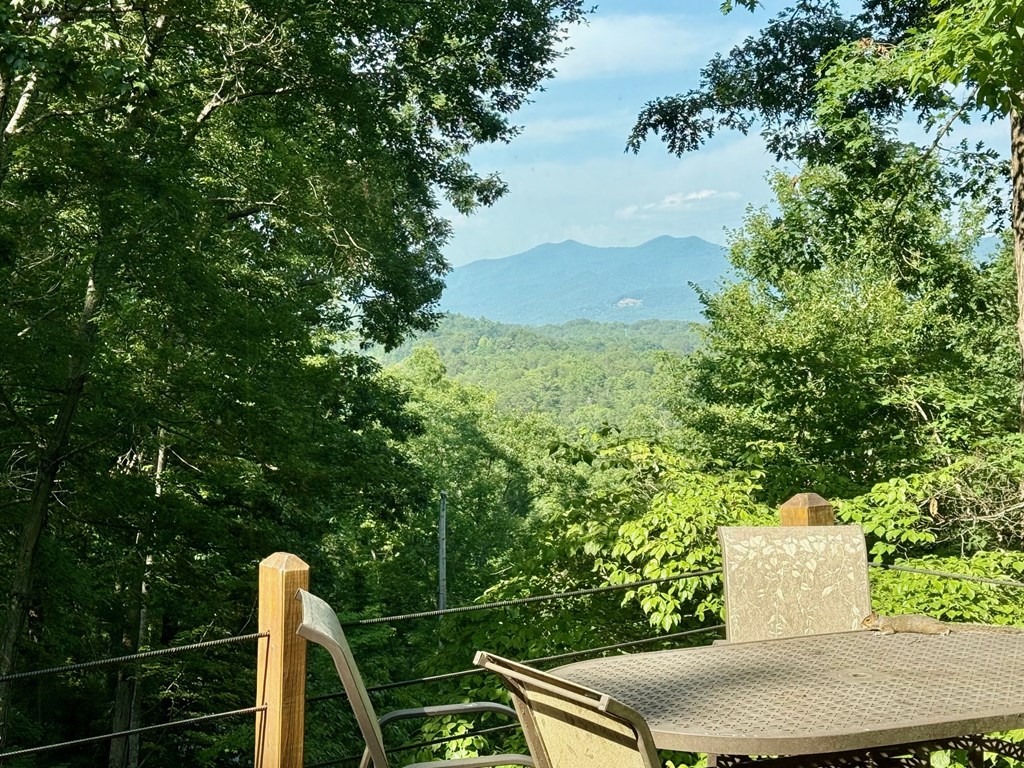 149 Poormans Trail Murphy, NC 28906 - Photo 11 of 74