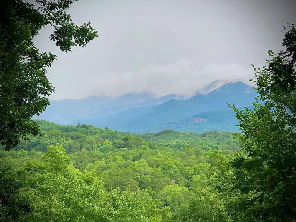 149 Poormans Trail Murphy, NC 28906 - Photo 13 of 74