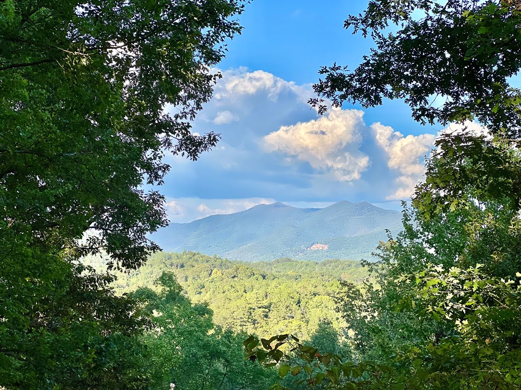 149 Poormans Trail Murphy, NC 28906 - Photo 15 of 74