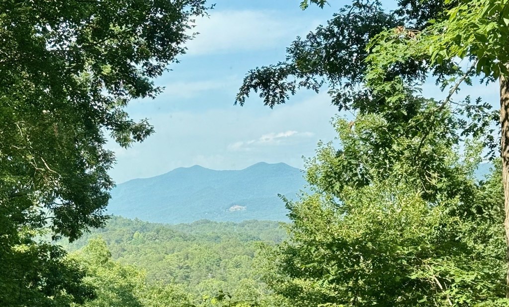 149 Poormans Trail Murphy, NC 28906 - Photo 24 of 74