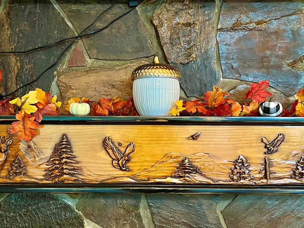 149 Poormans Trail Murphy, NC 28906 - Photo 39 of 74