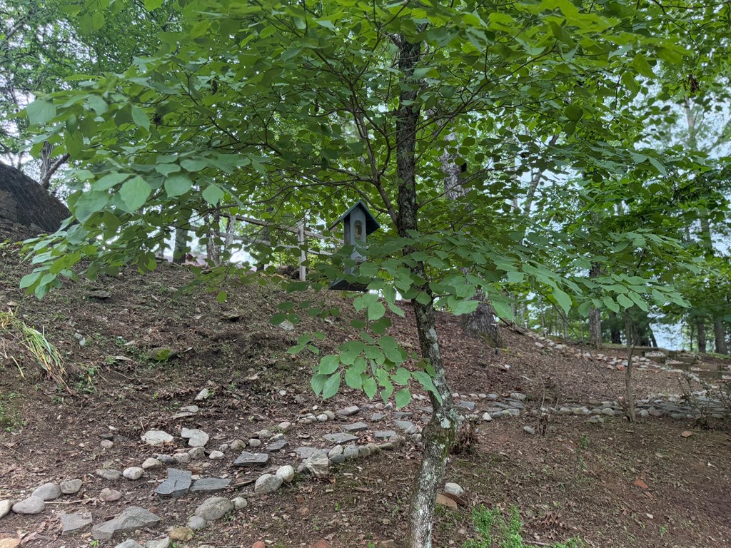 149 Poormans Trail Murphy, NC 28906 - Photo 63 of 74