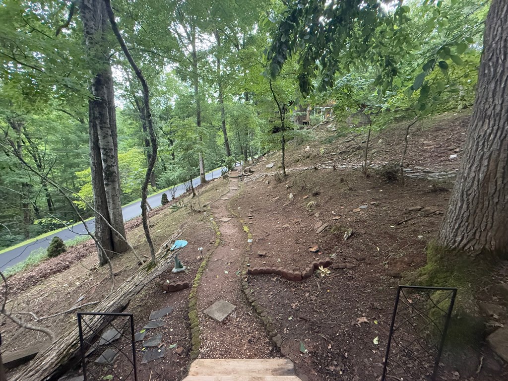 149 Poormans Trail Murphy, NC 28906 - Photo 69 of 74