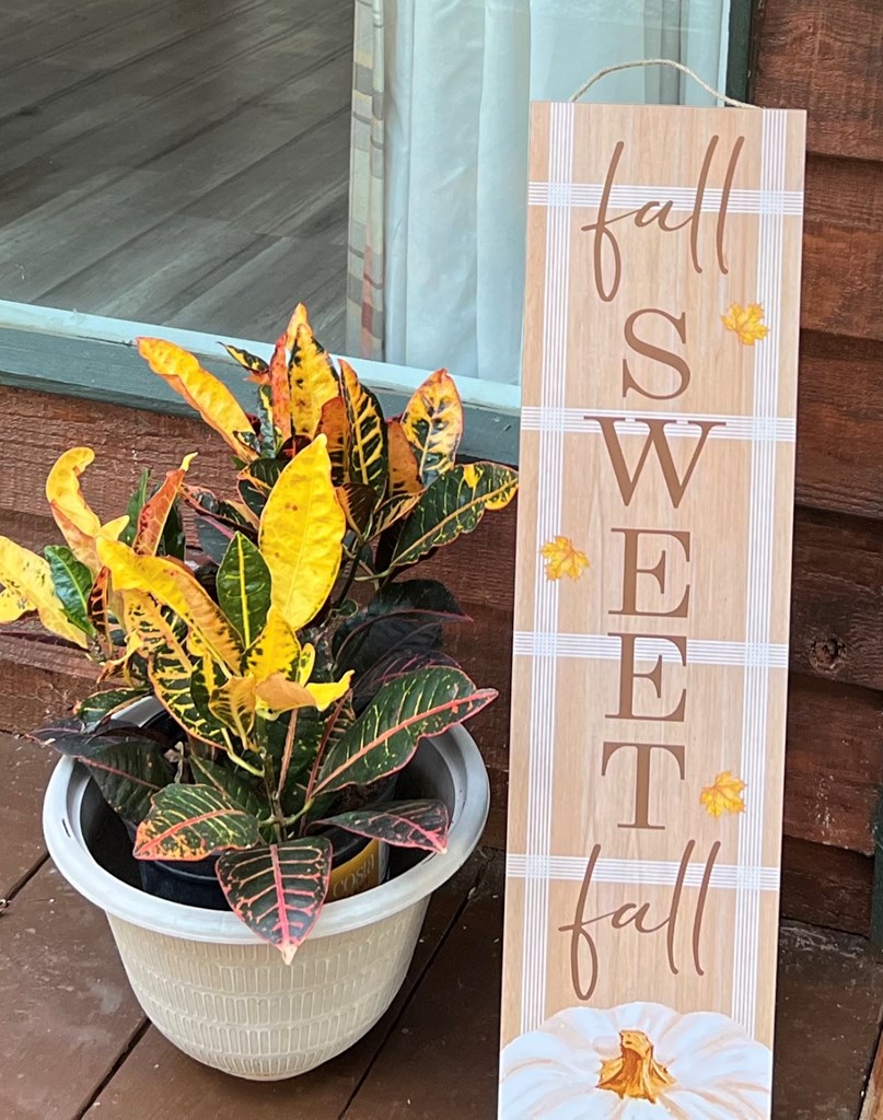 149 Poormans Trail Murphy, NC 28906 - Photo 74 of 74