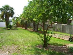 254 Sand Pine Road Indialantic, FL 32903 - Photo 12 of 12 Additional Photo