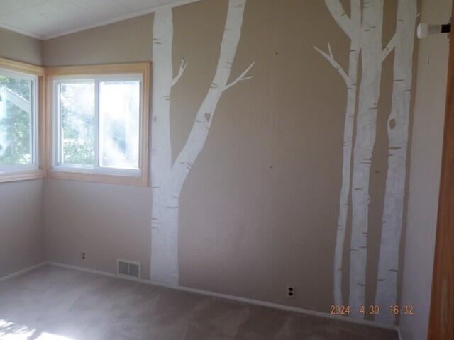 1919 Bender Road Portage, MI 49002 - Photo 17 of 29 DSCF6490