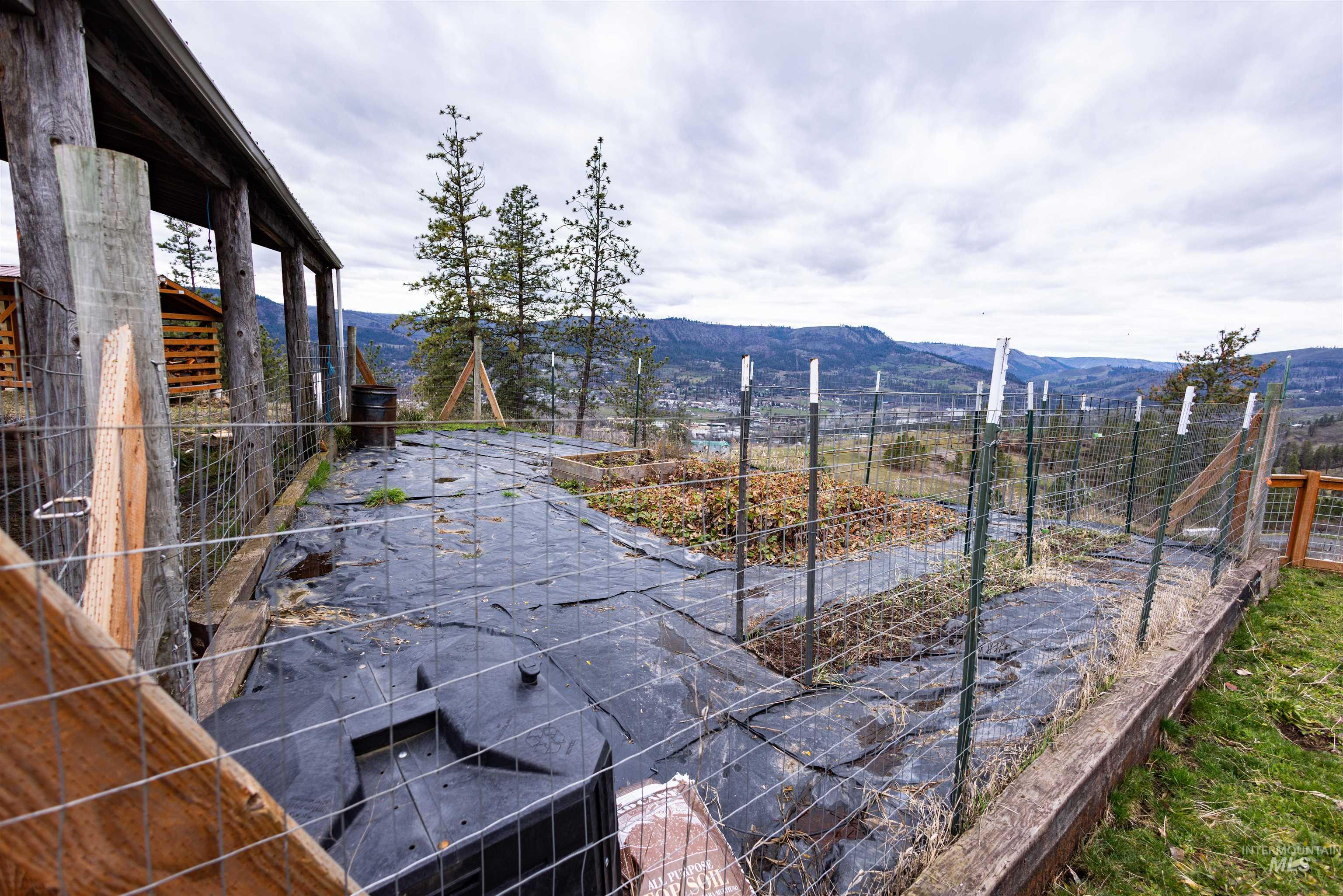 402 Beaverslide Road Kamiah, ID 83536 - Photo 13 of 46 View of yard with a garden and a mountain view